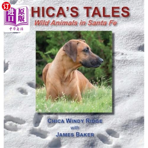 海外直订Chica's Tales: Wild Animals in Santa Fe 《中国故事：圣达菲的野生动物