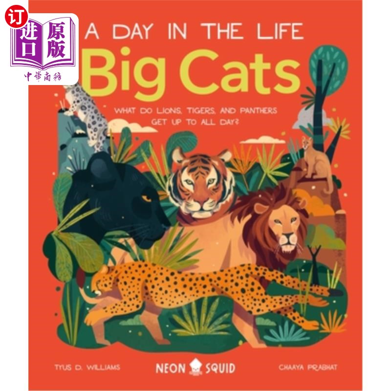 海外直订Big Cats (a Day in the Life): What Do Lions, Tigers, and Panthers Get Up to All  大型猫科动物(生活中的一天)