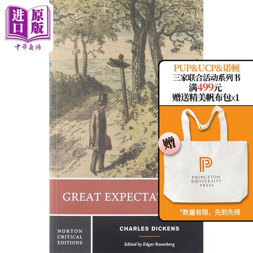 现货 Norton Critical Editions Great Expectations 英文原版远大前程 诺顿文学解读系列 Charles Dickens【中商原版】
