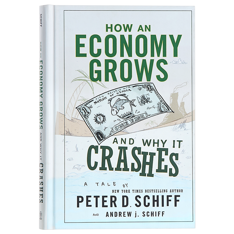预售 小岛经济学 英文原版 How an Economy Grows and Why It Crashes 小岛经济学:鱼、美元和经济的故事 经济学入门 Andrew J. S