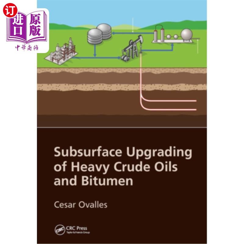 海外直订Subsurface Upgrading of Heavy Crude Oils and Bitumen 重质原油和沥青地下改造