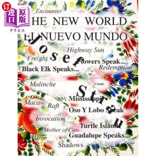 海外直订Josef Strau - The New World 2, Travels in Turtle... 约瑟夫·斯特劳-新世界2，龟岛游记