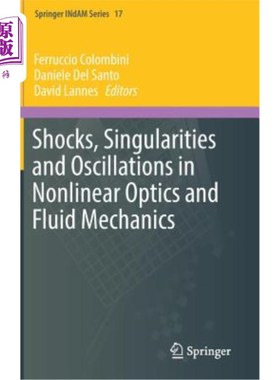 海外直订Shocks, Singularities and Oscillations in Nonlinear Optics and Fluid Mechanics 非线性光学与流体力学中的冲击