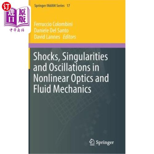 海外直订Shocks, Singularities and Oscillations in Nonlinear Optics and Fluid Mechanics 非线性光学与流体力学中的冲击