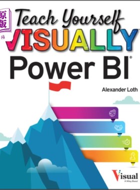 海外直订Teach Yourself Visually Power Bi 自学视觉力量Bi