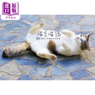 现货 「喵言喵语」Words 生活哲理 Cats 小森正孝 「图解」喵星人深奥 尖端 中商原版 商家庭传媒股份有限