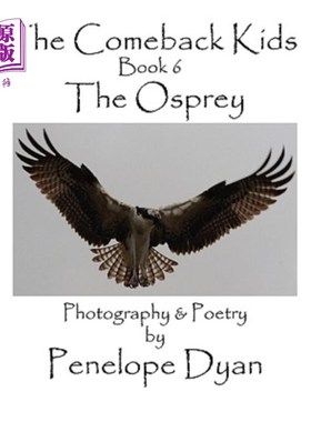 海外直订The Comeback Kids, Book 6, the Osprey 复出的孩子，第六册，鱼鹰