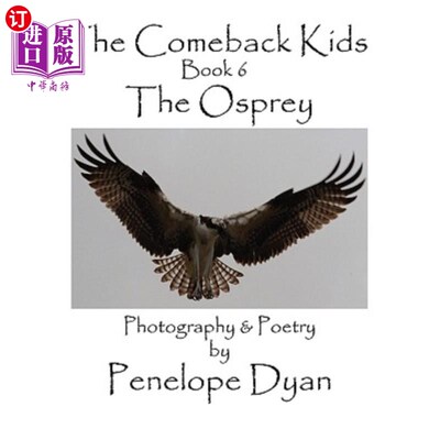 海外直订The Comeback Kids, Book 6, the Osprey 复出的孩子，第六册，鱼鹰