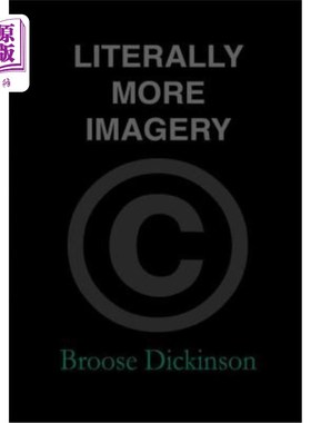 海外直订Literally More Imagery 字面上更多的图像