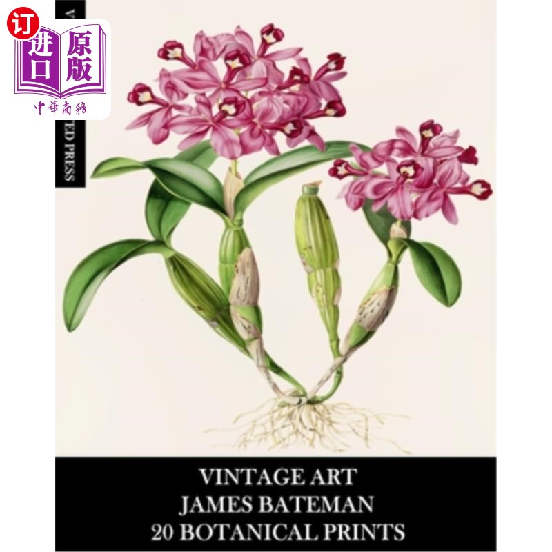 海外直订Vintage Art: James Bateman: 20 Botanical Prints: Orchid Ephemera for Framing, Ho 复古艺术：詹姆斯·贝特曼：2