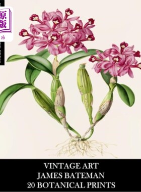 海外直订Vintage Art: James Bateman: 20 Botanical Prints: Orchid Ephemera for Framing, Ho 复古艺术：詹姆斯·贝特曼：2