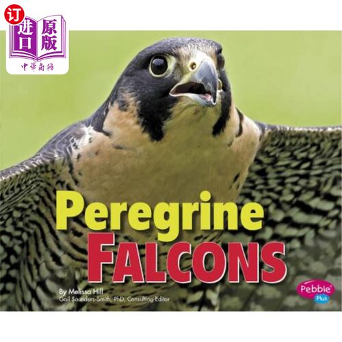海外直订Peregrine Falcons 游隼