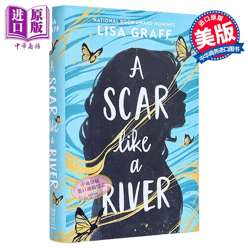 像河流一样的伤疤 青少年成长小说 12岁以上 英文原版 A Scar like a River Lisa Graff【中商原版】