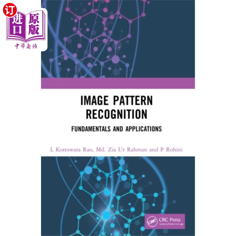海外直订Image Pattern Recognition 图像模式识别