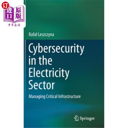 海外直订Cybersecurity in the Electricity Sector: Managing Critical Infrastructure 电力行业的安全：管理关键基础设施