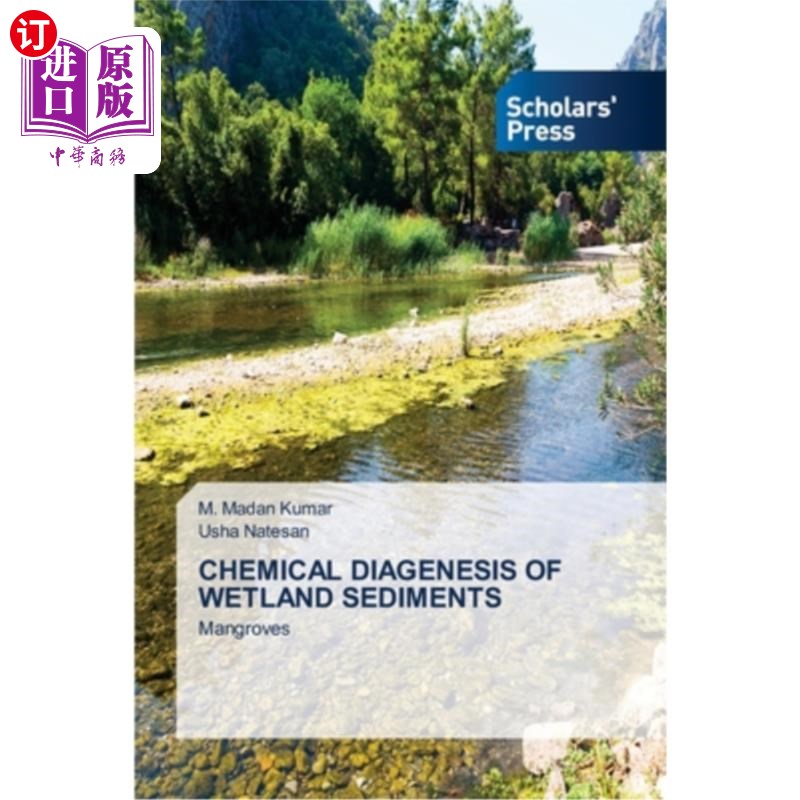 海外直订Chemical Diagenesis of Wetland Sediments 湿地沉积物的化学成岩作用
