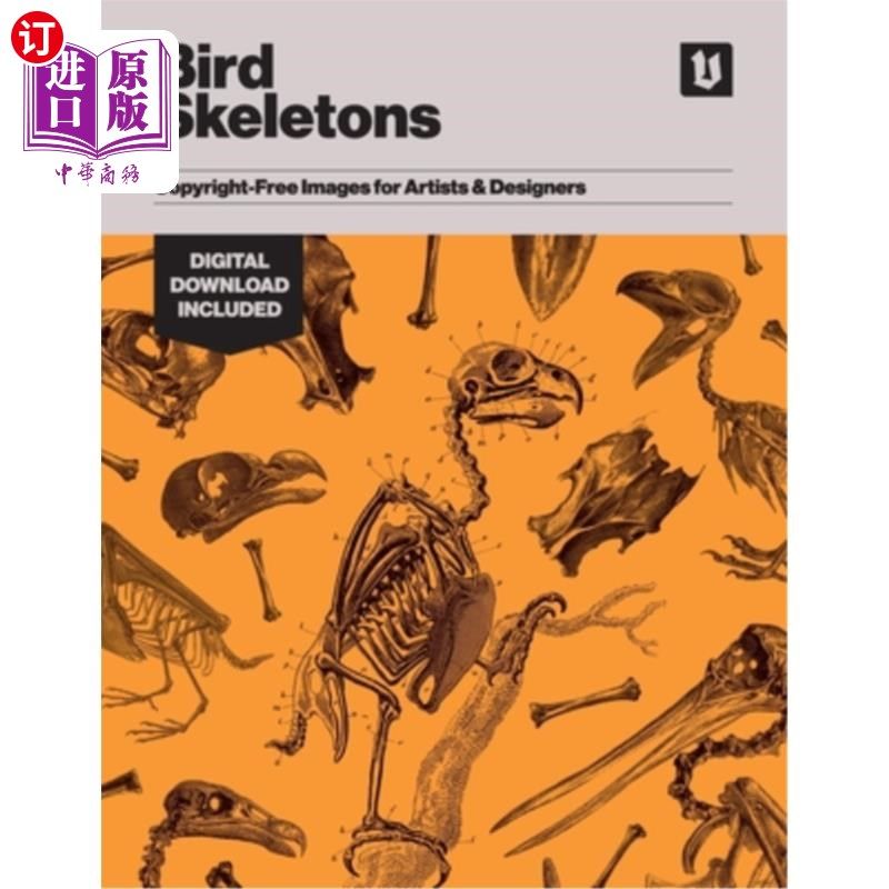 海外直订Bird Skeletons: Copyright-Free Images for Artists & Designers 鸟类骨骼:艺术家和设计师的免费图像
