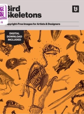 海外直订Bird Skeletons: Copyright-Free Images for Artists & Designers 鸟类骨骼:艺术家和设计师的免费图像