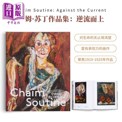 柴姆·苏丁作品集：逆流而上画册