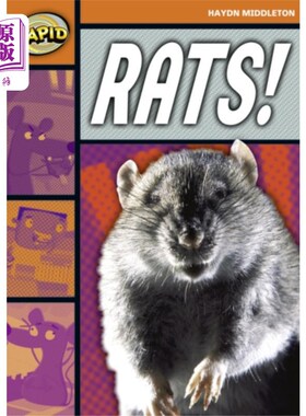 海外直订Rapid Reading: Rats! (Stage 4, Level 4B) 快速阅读：老鼠！（第4阶段，4B级）