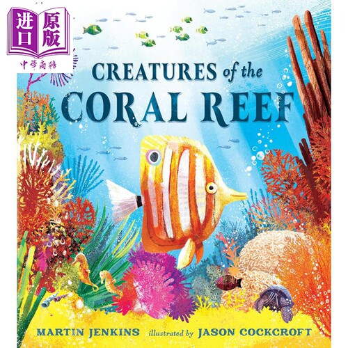 珊瑚礁生物大探秘绘本