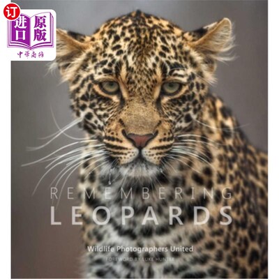 海外直订Remembering Leopards 记住豹子