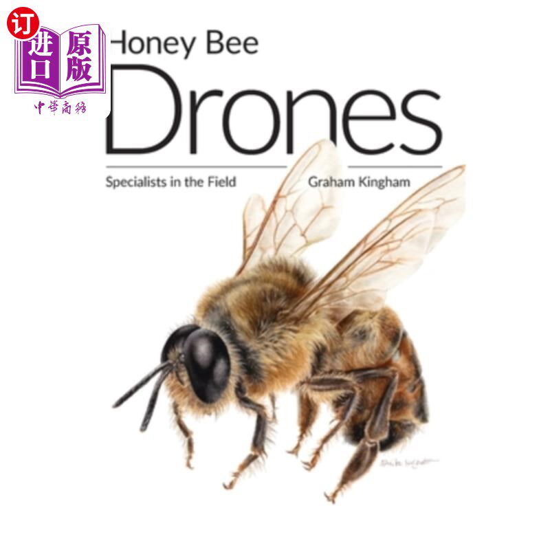 海外直订Honey Bee Drones: Specialists in the Field 蜜蜂雄蜂：该领域的专家