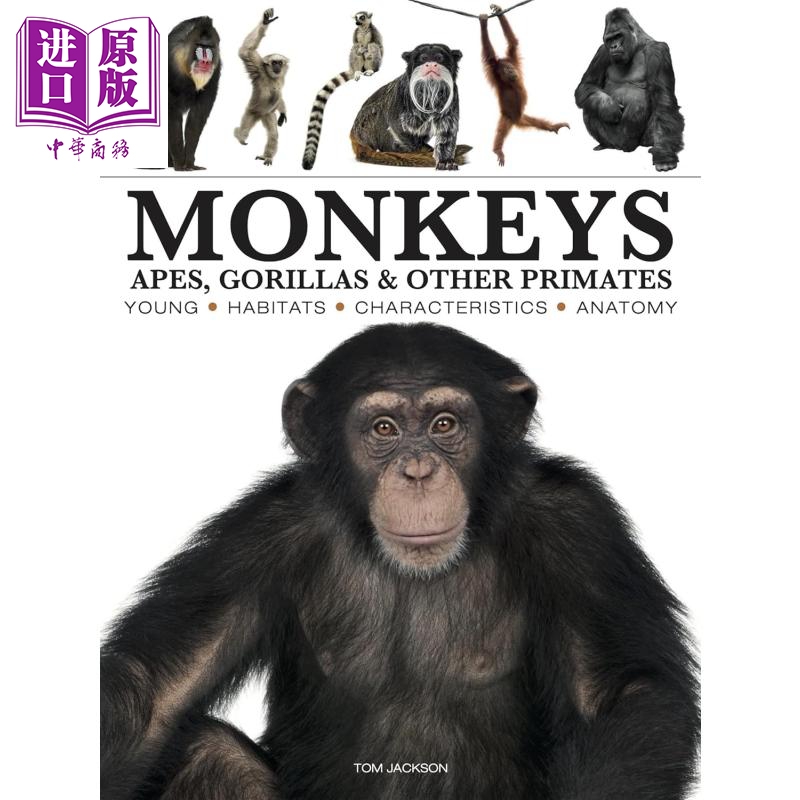 猴子图鉴 Monkeys 英文原版 Tom Jackson 猴类科普百科 猴子图解百科【中商原版】