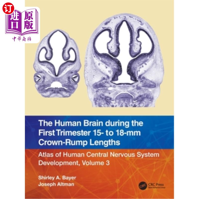 海外直订医药图书The Human Brain during the First Trimester 15- to 18-mm Crown-Rump Lengths: Atla 在前三个月的人类大