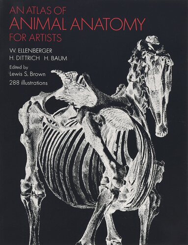 An Atlas of Animal Anatomy for Artists 进口艺术 动物解剖图谱 动物绘画技巧参考书【中商原版】 - 封面