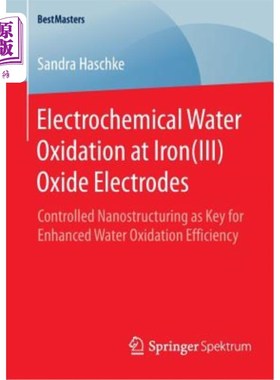 海外直订Electrochemical Water Oxidation at Iron(iii) Oxide Electrodes: Controlled Nanost 氧化铁电极上的电化学水氧化