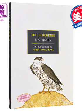 预售 游隼 豆瓣阅读 英文原版 The Peregrine J. A. Baker 【中商原版】