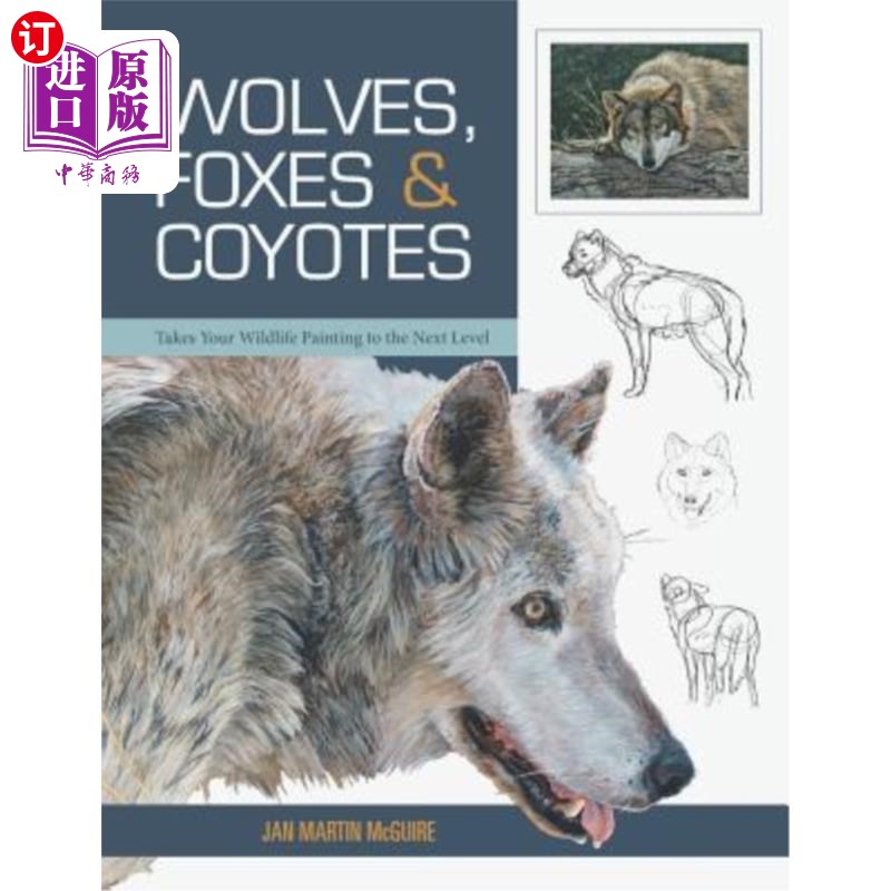 海外直订Wolves, Foxes & Coyotes (Wildlife Painting Basics) 狼、狐狸和郊狼（野生动物绘画基础）