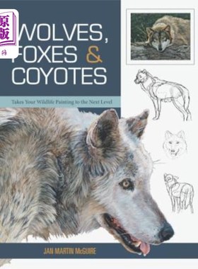 海外直订Wolves, Foxes & Coyotes (Wildlife Painting Basics) 狼、狐狸和郊狼（野生动物绘画基础）
