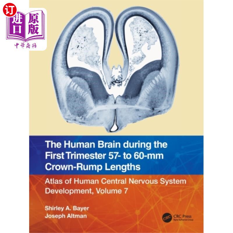 海外直订医药图书Human Brain during the First Trimester 57- to 60... 怀孕前三个月人类大脑的冠臀长度为57- 60毫米