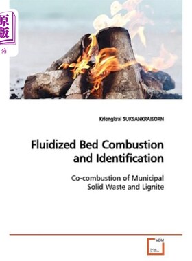 海外直订Fluidized Bed Combustion and Identification 流化床燃烧与识别
