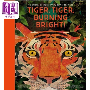 Tiger, Tiger, Burning Bright 老虎,老虎,燃烧的光明 英文原版 6到8岁 精装 儿童动物诗歌 Britta Teckentrup【中商原版】