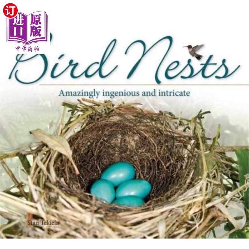 海外直订Bird Nests: Amazingly Ingenious and Intricate 鸟巢：非常巧妙和复杂