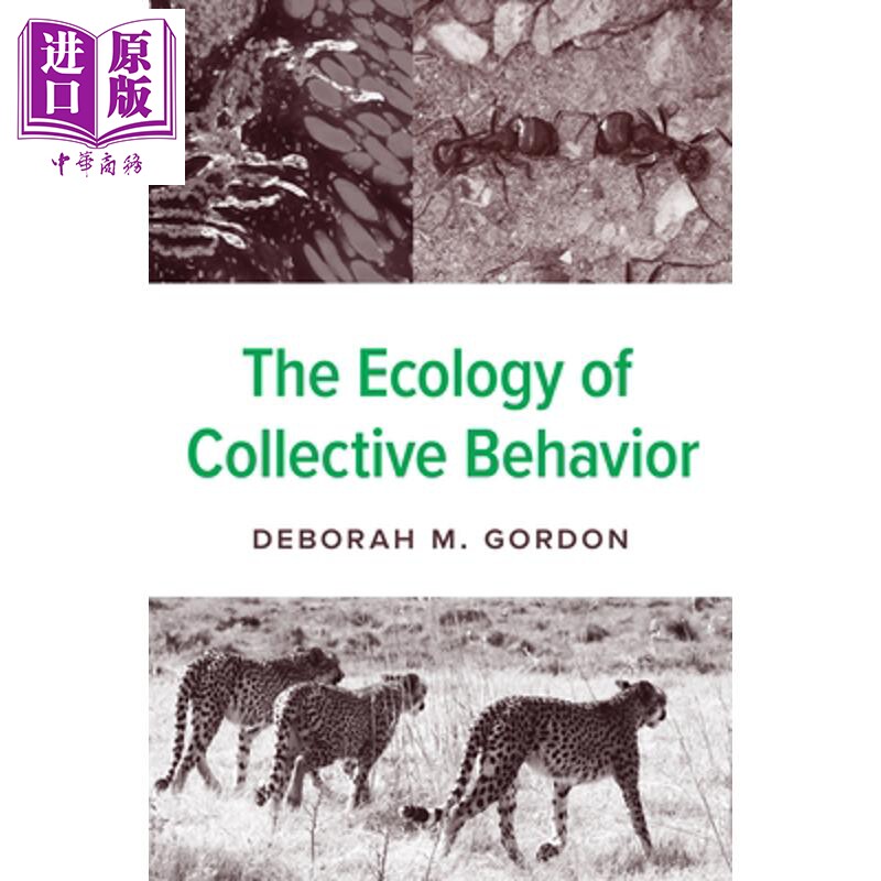 预售 集体行为的生态学 The Ecology of Collective Behavior 英文原版 Deborah M Gordon【中商原版】