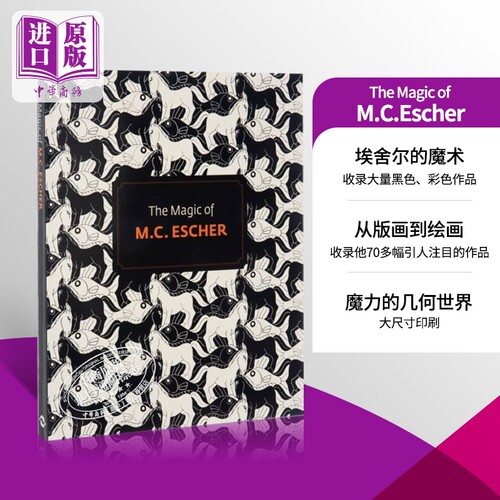 进口艺术神奇的埃舍尔