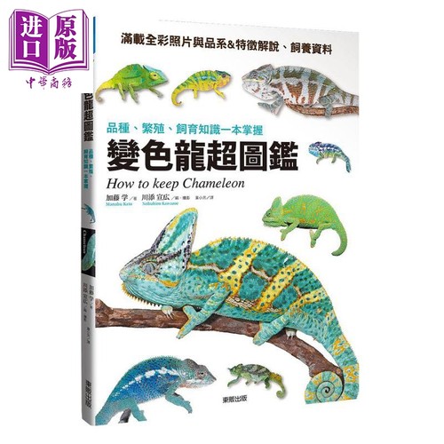 变色龙超图鉴 品种 繁殖 饲育知识一本掌握 港台原版 加藤学 台湾东贩 【中商原版】