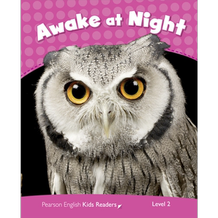 Pearson English kids readers培生小学英语分级绘本2级 夜不能寐Awake at Night蓝思值300L中心词400 英文原版【中商原版】