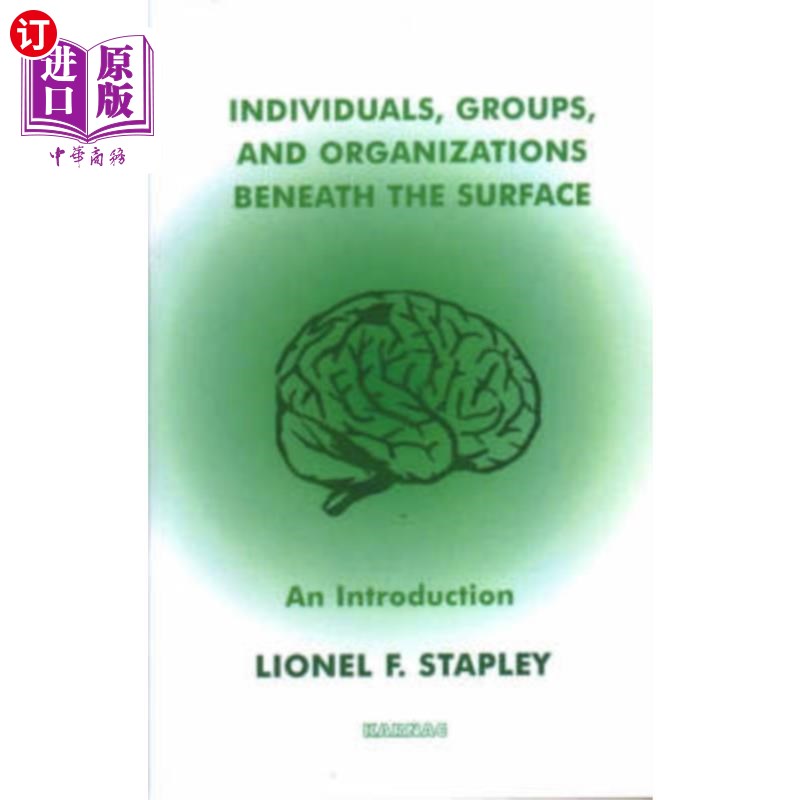 海外直订Individuals, Groups and Organizations Beneath th... 表面之下的个人、团体和组织
