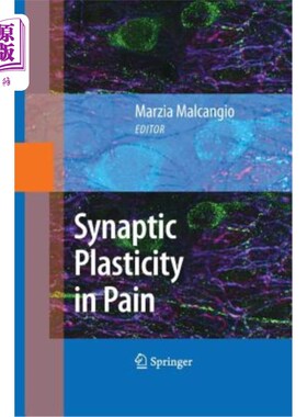 海外直订医药图书Synaptic Plasticity in Pain 疼痛中的突触可塑性