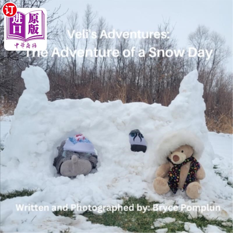 海外直订Veli's Adventures: The Adventure of a Snow Day 韦利的冒险:雪天的冒险