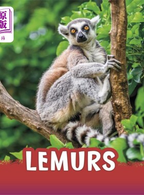 海外直订Lemurs 狐猴