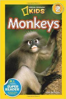 现货 【中商原版】英文原版 National Geographic Readers:Monkeys 美国国家地理:猴子