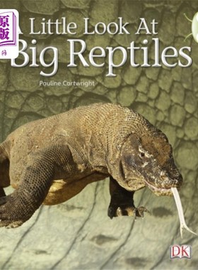 海外直订Bug Club Guided Non Fiction Year 1 Blue B A Little Look at Big Reptiles 虫子俱乐部指导的非小说第1年蓝色B一