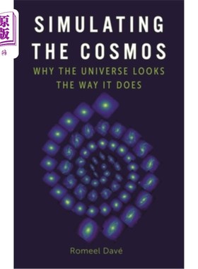 海外直订Simulating the Cosmos: Why the Universe Looks the Way It Does 模拟宇宙:为什么宇宙看起来是这样的