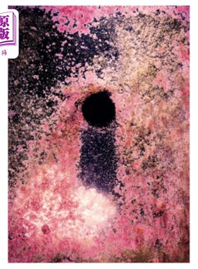 海外直订Taiyo Onorato & Nico Krebs: Water Column Taiyo Onorato和Nico Krebs: Water Column